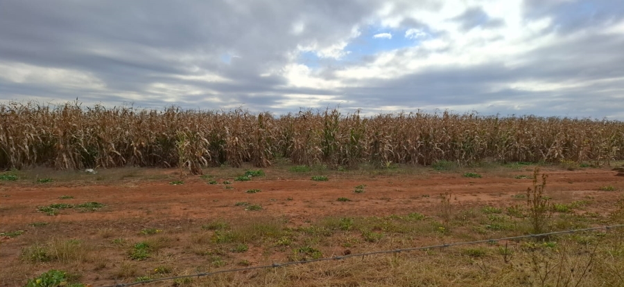 Commercial Property for Sale in Bloemfontein Rural Free State